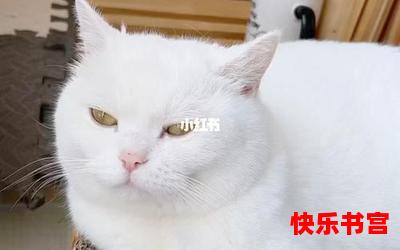 大懒猫全文免费阅读-大懒猫最新章节-无弹窗