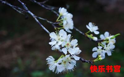 一枝梨花压海棠免费阅读大结局-一枝梨花压海棠在线阅读完整版